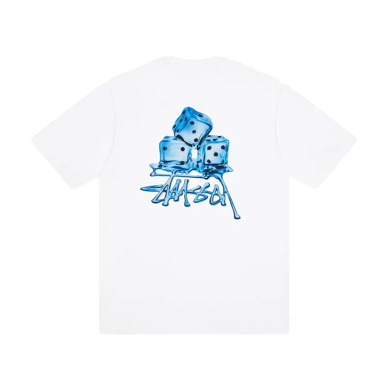 Stüssy ice cube T-Shirt white
