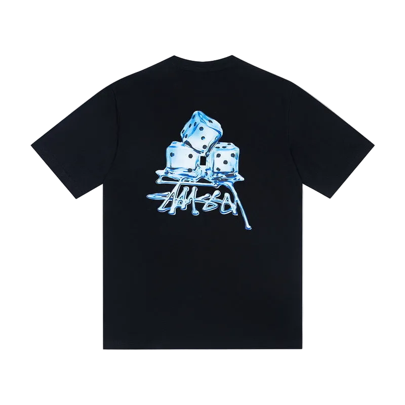 Stüssy ice cube T-Shirt black